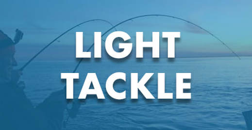 Light Tackle Rods
